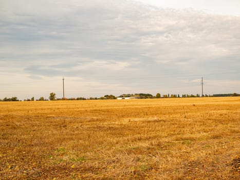 Farm field after harvest in the fall. Agriculture. Place for text.