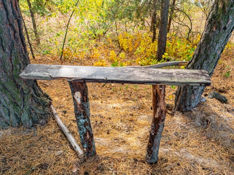 Bench for resting tourists in the forest. Hiking. Recreation.