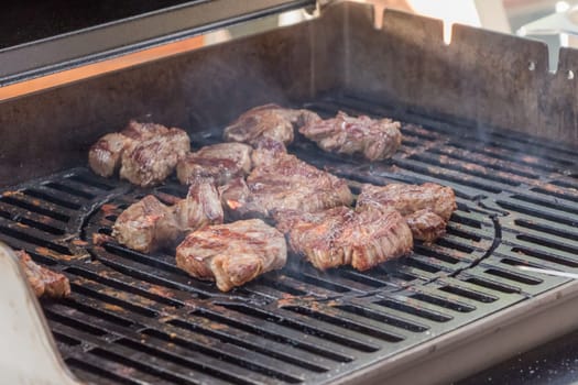 Delicious BBQ from beef pork turkey or chicken meat. Perfectly grilled tender succulent marinated steak group for traditional dinner.