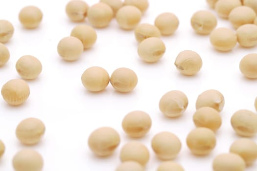 Japanese soybeans daizu on white background