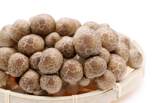 Japanese fresh shimeji mushroom in a bamboo basket