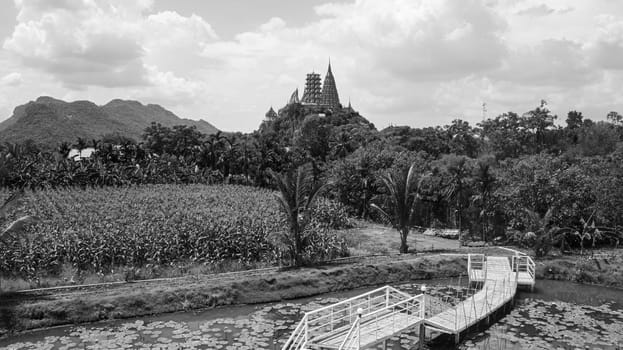 water lilies pink outdoors paradise pond bridge temple mountain black white
