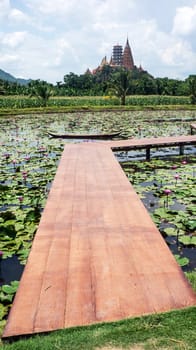 wooden canoe water lilies pink outdoors paradise pond bridge