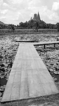 wooden canoe water lilies pink outdoors paradise pond bridge black white