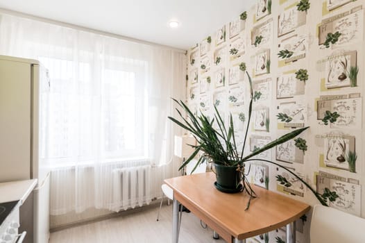 Russia, Moscow- June 12, 2019: interior room apartment. standard repair decoration in hostel. kitchen and dining room