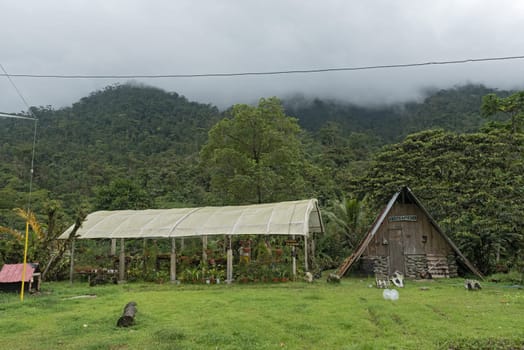 small horticulture business in fortuna forest reserve panama