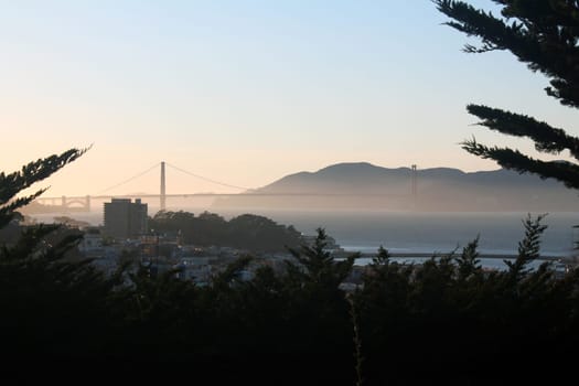 The Golden Gate bridge behind the trees