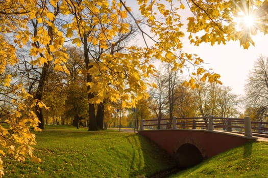 autumn park with bridge and sun rays