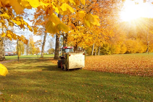 Vacuum sweeper towed by a tractor work in autumn park. Collect leafs.