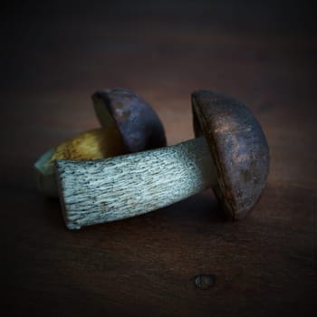 a Birch mushroom (Leccinum scabrum) and a bay bolete (Imleria badia) on a kitchen table