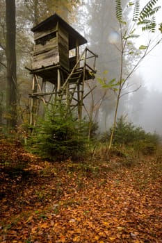 Wooden hunter perched at the forest edge in fog in autumnal pine forest against blurred background