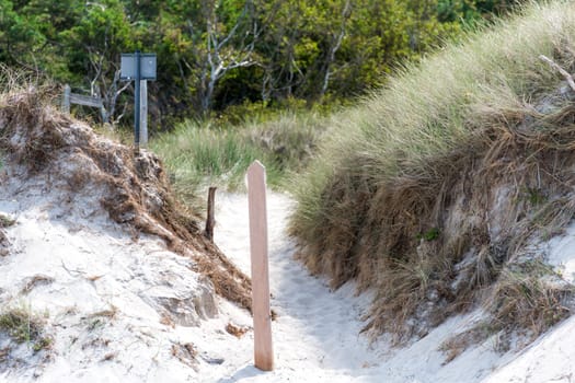 German Baltic Sea coast with sand dunes, grass, water and blue sky with Wood sign