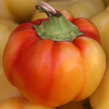 Red-yellow peppers squared