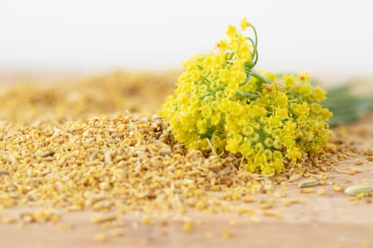 Fennel flower on a small pile of fennel pollen