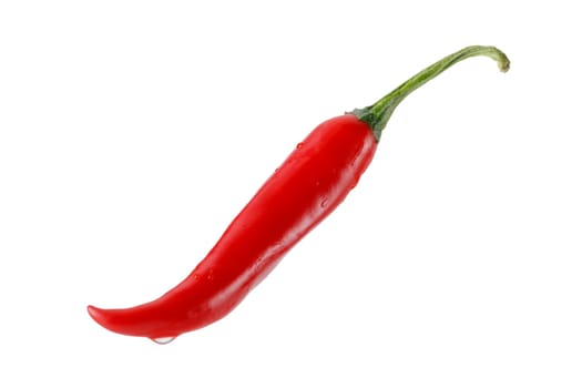 Red chili pepper on a white background, levitating, with a drop of water on the tip