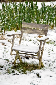 Abondoned snow covered chair in a snowy allotment in front of a leek bed