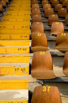 Raws of numbered wooden seats and yellow painted numbered stairs in a stadium. With space for copy.
