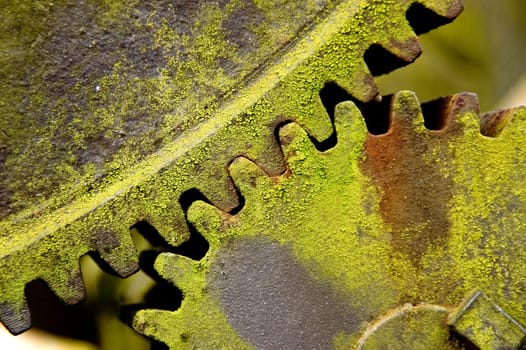 Close up of two old weathered pump gears covered with green lichen. With space for copy