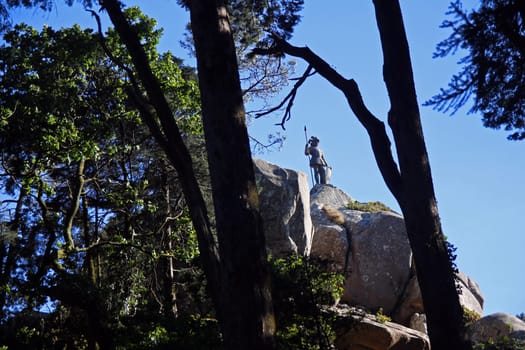 The soldier on the rock in the woods