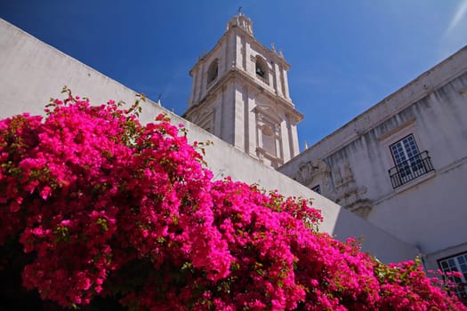 The pink colored flowers and the white building