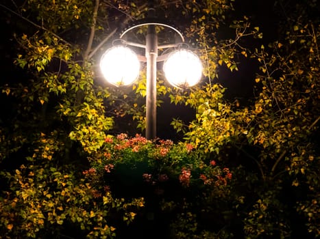 Street lighting in a night pair. Place for text. Background.