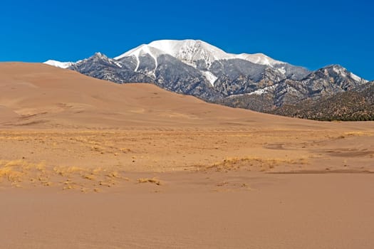 Sand Dunes and Snowy Mountains in Great Sand Dunes National Park in Colorado