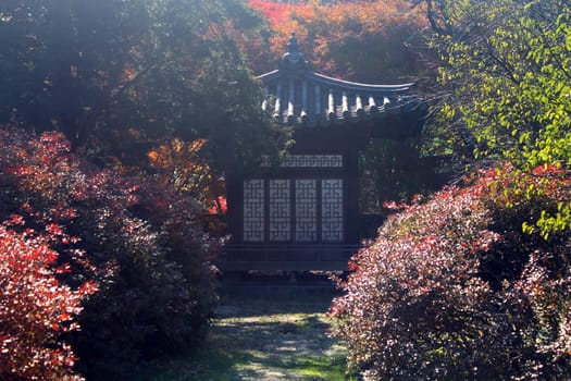 The pagoda in the foliage in Seoul