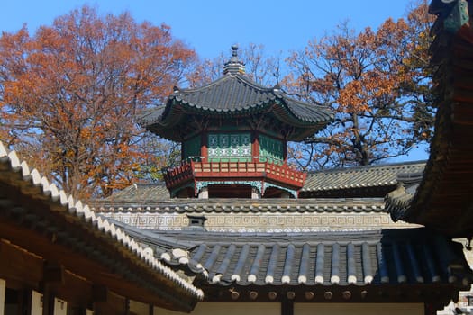 The pagoda among the roofs in Seoul