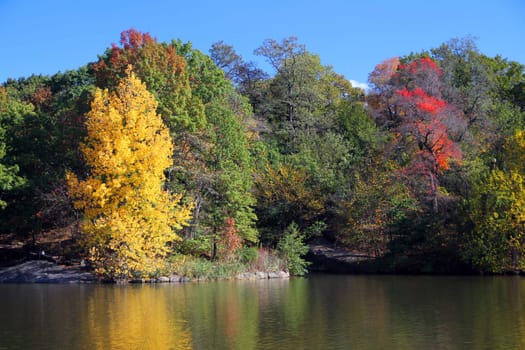 The reflection of the colors of autumn