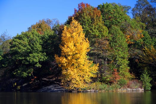 The reflection of the colors of autumn