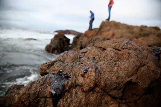 SALVADOR, BAHIA / BRAZIL - November 3, 2019: Oil macha is seen on the Rio Vermelho beach in Salvador (BA). The site was affected by oil spills on the Brazilian coast (Joa Souza / Panthermedia).