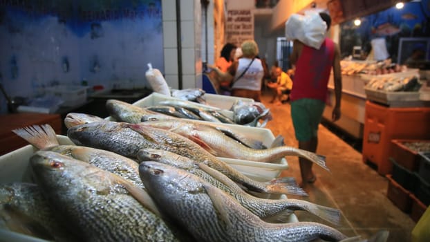 SALVADOR, BAHIA / BRAZIL - November 6, 2019: Fish and seafood for sale at the São Joaquim Fair in Salvador (BA). Due to oil spills in the Brazilian Sea, traders complain that they are not selling fish. (Joa Souza / Panthermedia).