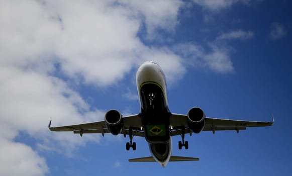 SALVADOR, BAHIA / BRAZIL - November 7, 2019:Tam Linhas Aéreas Airbus is seen while approaching the runway at Salvador (BA) airport. (Joa Souza / Panthermedia).
