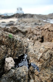 SALVADOR, BAHIA / BRAZIL - November 3, 2019: Oil macha is seen on the Rio Vermelho beach in Salvador (BA). The site was affected by oil spills on the Brazilian coast (Joa Souza / Panthermedia).