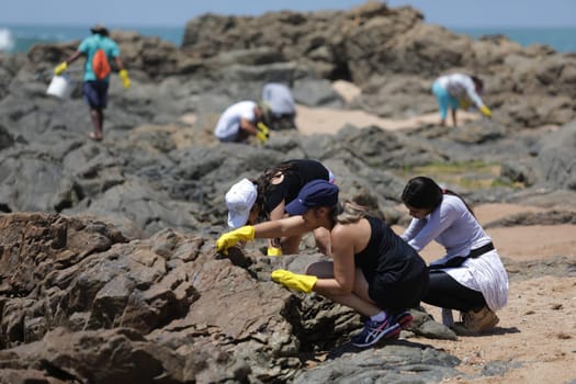 SALVADOR, BAHIA / BRAZIL - October 13, 2019: Volunteers clean up oil at Jardim de Alah Beach, the site was affected by oil spills at sea (Joa Souza / Panthermedia).