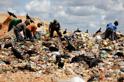 ALAGOINHAS, BAHIA / BRAZIL - May 2, 2019: People are seen collecting material for recycling in city landfill  (Joa Souza / Panthermedia).