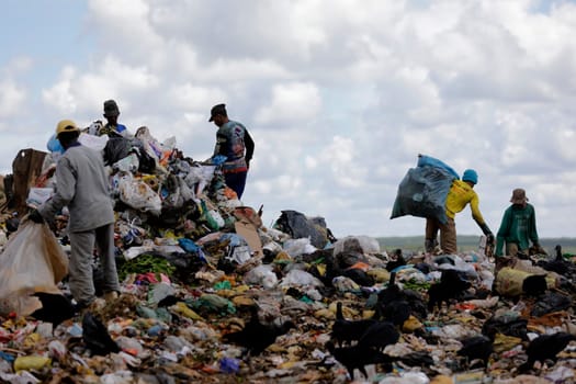 ALAGOINHAS, BAHIA / BRAZIL - May 2, 2019: People are seen collecting material for recycling in city landfill  (Joa Souza / Panthermedia).