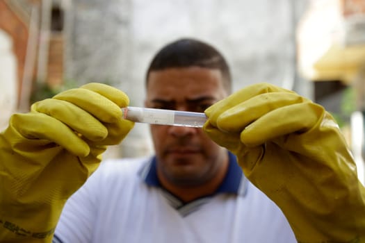 SALVADOR , BAHIA/BRAZIL -  July 5, 2019: Health agent collects sample of Aedes aegypti mosquito larva during a survey of real estate in the neighborhood of Boca do Rio in Salvador (BA).  (Joa Souza / Panthermedia).