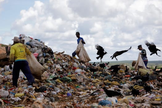 ALAGOINHAS, BAHIA / BRAZIL - May 2, 2019: People are seen collecting material for recycling in city landfill  (Joa Souza / Panthermedia).