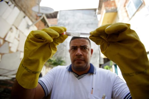 SALVADOR , BAHIA/BRAZIL -  July 5, 2019: Health agent collects sample of Aedes aegypti mosquito larva during a survey of real estate in the neighborhood of Boca do Rio in Salvador (BA).  (Joa Souza / Panthermedia).