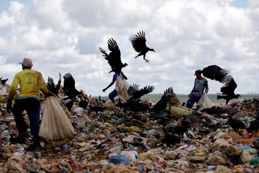 ALAGOINHAS, BAHIA / BRAZIL - May 2, 2019: People are seen collecting material for recycling in city landfill  (Joa Souza / Panthermedia).