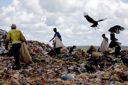 ALAGOINHAS, BAHIA / BRAZIL - May 2, 2019: People are seen collecting material for recycling in city landfill  (Joa Souza / Panthermedia).