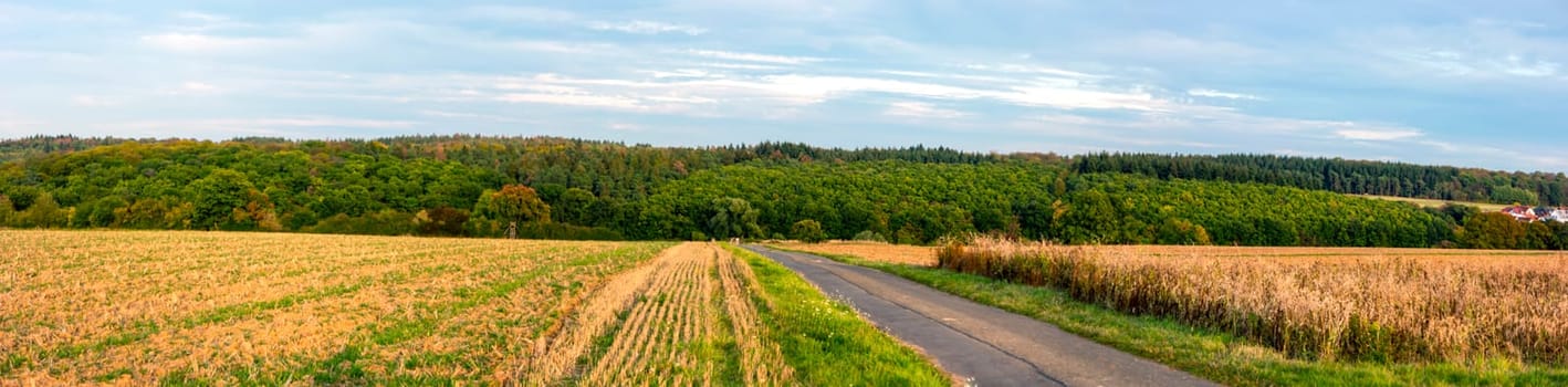 Summer farmland panorama in Hessen Germany on a beautiful day.