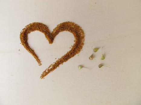 Edible Shepherd’s purse seeds