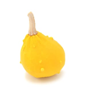 Teardrop-shaped decorative ornamental gourd with yellow skin, on a white background