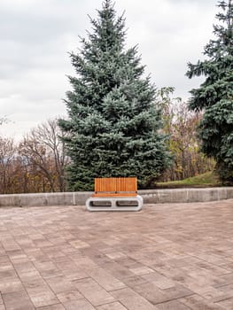 Bench for relaxing in a public park. Place for text. Background.