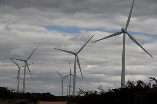 BROTAS DE MACAUBAS, BAHIA / BRAZIL - August 5, 2014: Wind farm formed by 57 wind turbines as capacity to generate up to 300 MW of electricity. (Joa Souza / Panthermedia).