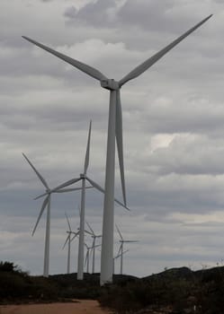 BROTAS DE MACAUBAS, BAHIA / BRAZIL - August 5, 2014: Wind farm formed by 57 wind turbines as capacity to generate up to 300 MW of electricity. (Joa Souza / Panthermedia).