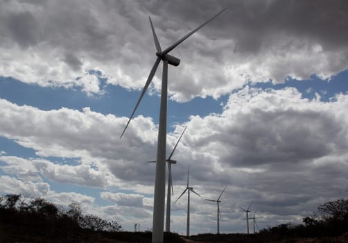 BROTAS DE MACAUBAS, BAHIA / BRAZIL - August 5, 2014: Wind farm formed by 57 wind turbines as capacity to generate up to 300 MW of electricity. (Joa Souza / Panthermedia).