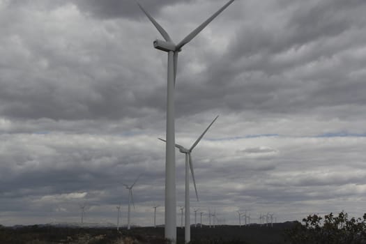 BROTAS DE MACAUBAS, BAHIA / BRAZIL - August 5, 2014: Wind farm formed by 57 wind turbines as capacity to generate up to 300 MW of electricity. (Joa Souza / Panthermedia).